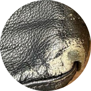 レザー補色するカバン 3